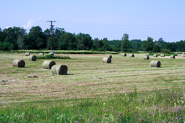 Image showing Foto of processed agriculture field in day