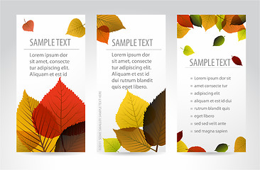 Image showing Fresh natural autumn vertical banners with leafs