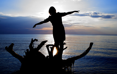 Image showing Woman standing on fallen tree at evening