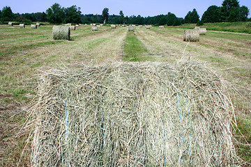 Image showing Foto of haystack on field at summer