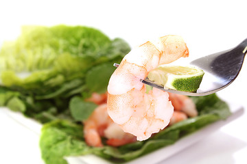 Image showing Prawns