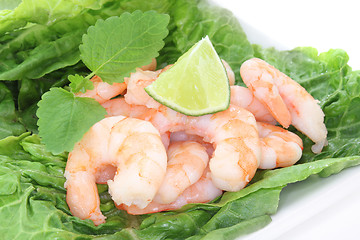 Image showing Prawns