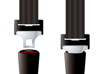 Image showing Safety seat belt