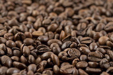 Image showing Coffee beans