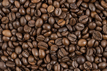 Image showing Coffee beans