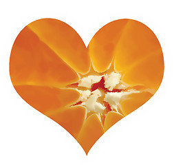 Image showing citrus love symbol