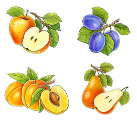 Image showing fruits collection