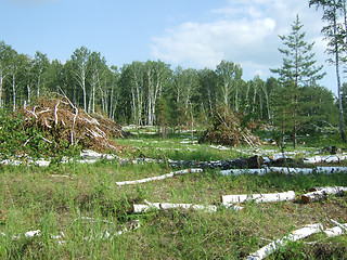 Image showing deforestation