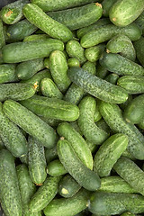 Image showing Heap of green cucumbers