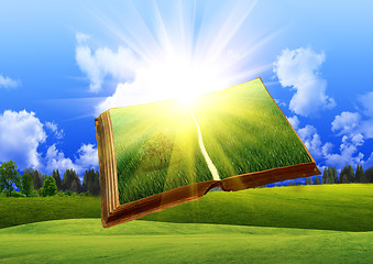 Image showing magic book with a landscape