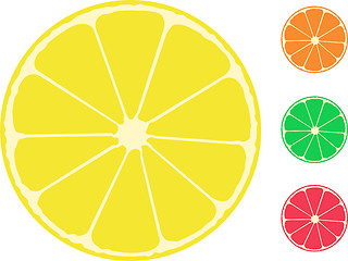 Image showing citrus fruit. Orange, lemon, lime, grapefruit
