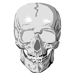 Image showing Human skull graphic