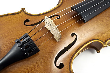 Image showing Italian wooden Violin Chord details