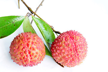 Image showing Lichi fruits