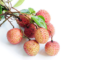 Image showing Lichi fruits