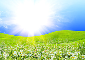 Image showing summer sunny day
