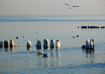 Image showing Winter sea