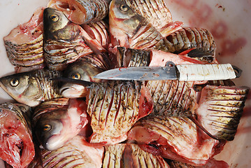 Image showing pieces of fresh raw fish in and a knife