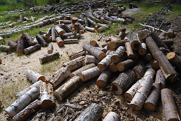 Image showing off cuts of wood