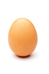 Image showing  raw egg 