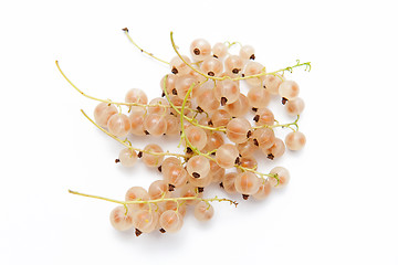 Image showing Currant berries