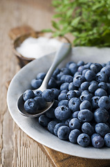 Image showing Blueberries