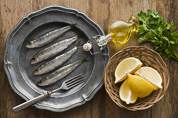 Image showing Sardines