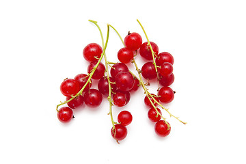 Image showing Red currants