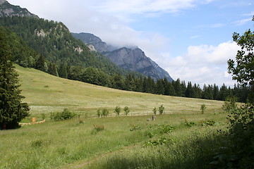 Image showing The mountains near Sinaia, Romania