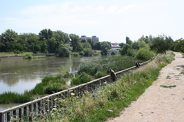 Image showing Men fishing in Oradea, Romania