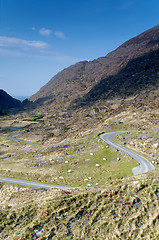 Image showing Road to Gap of Dunloe