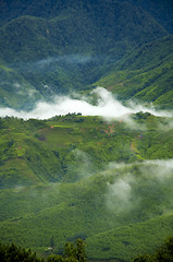 Image showing Morning mist