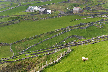 Image showing Irish countryside