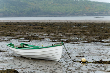 Image showing White rowboat