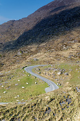 Image showing Road to Gap of Dunloe