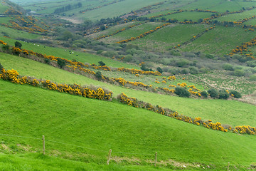 Image showing Irish countryside