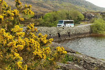 Image showing Tourist bus