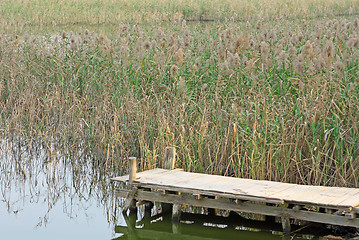 Image showing Jetty on lake 