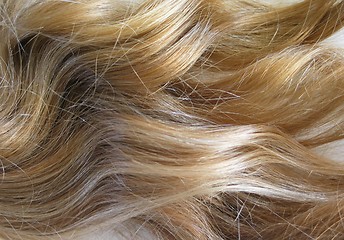 Image showing Blonde Hair