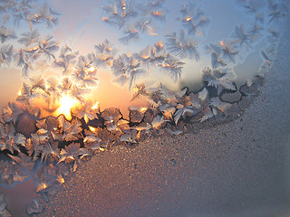 Image showing frost and sun