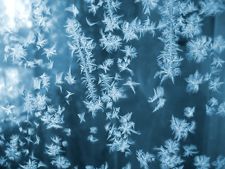 Image showing frost