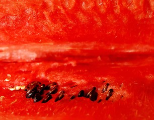 Image showing watermelon background