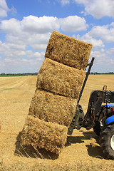 Image showing haystack