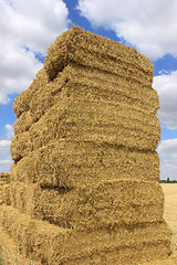 Image showing haystack