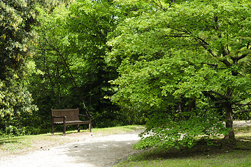 Image showing Empty bench in the park