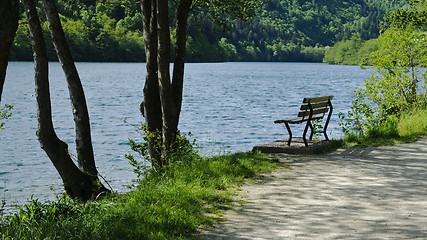 Image showing Empty bench on the lake