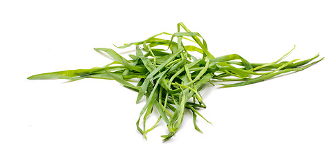 Image showing Bunch Of A Grass 5