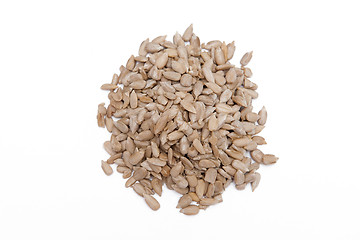 Image showing Sunflower seeds