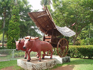 Image showing Kereta Lembu