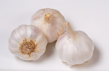 Image showing Garlic